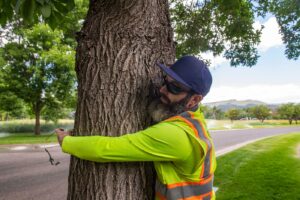 ten-years-in,-the-emerald-ash-borer-breaches-the-western-slope-as-it-continues-its-steady-—-but-slow-—-spread-in-colorado